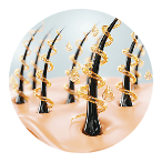 treatment steps